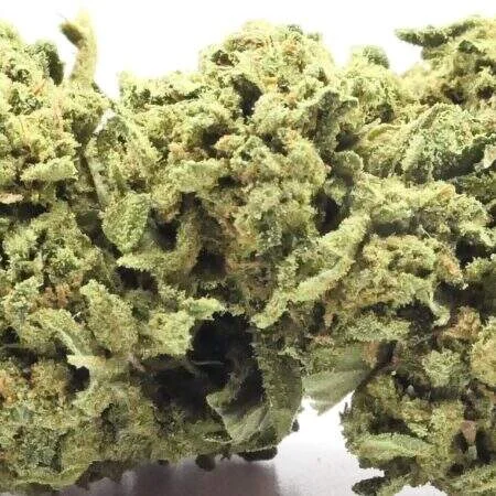 Fleur CBD CBDOO Green Kush