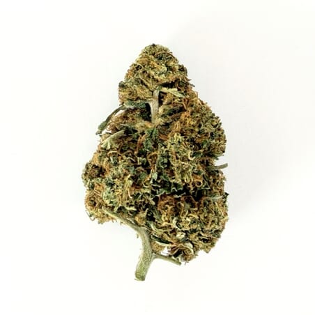 Fleurs CBD Marie Jeanne